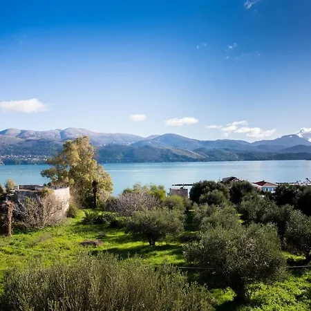 Anemoessa Aria Daire Lixouri